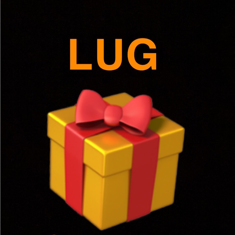 Lug SURPRISE Accessories box